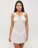 PCS040003bromeliafrente