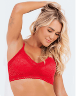 PST070002frentebromelia