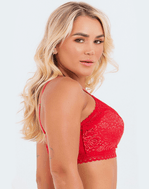 PST070002lateralbromelia