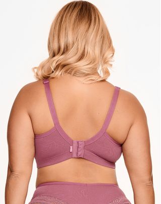 SP-01-0019--1-
